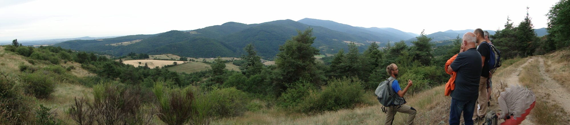 DSC07054